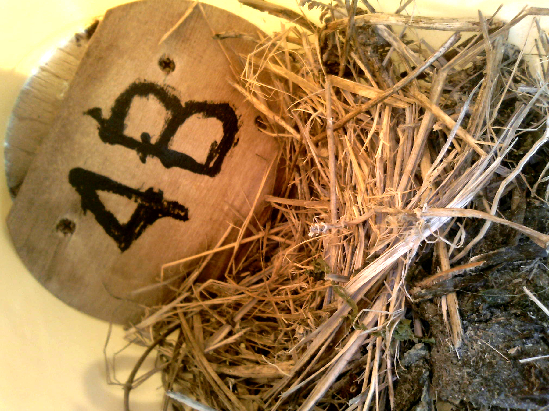 OPAS 4B